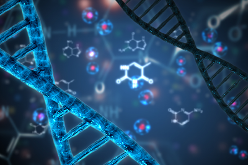 DNA Mutations Melanoma